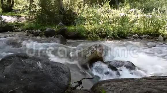 阿拉木图市山区的河流视频的预览图