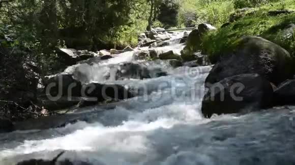 阿拉木图市山区的河流视频的预览图