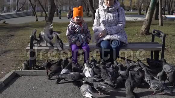 在寒冷的日子里年轻的女人和小女孩用葵花籽喂鸽子视频的预览图