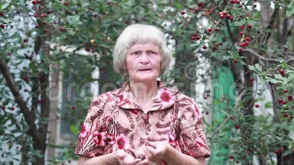 这位老妇人夏天在樱桃园吃樱桃视频的预览图