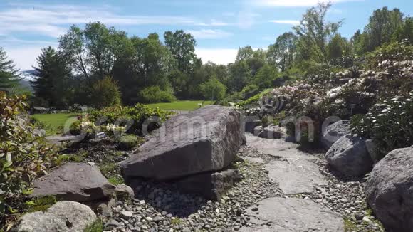 阳光明媚的岩石步道上有植物和鲜花视频的预览图