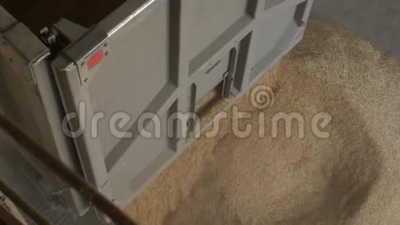 汽车卡车把玉米或黑麦运到电梯里农业视频的预览图