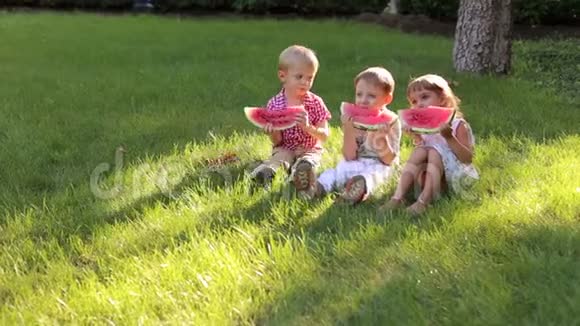 三个快乐的孩子夏天在公园里吃西瓜视频的预览图