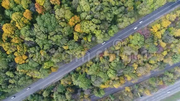 秋季公园区中央几条平行道路的鸟瞰图视频的预览图
