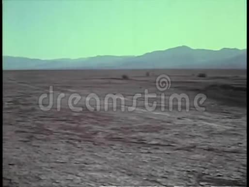 恐慌的沙漠视频的预览图