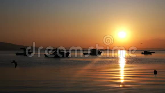 日落灯光和大海以及美丽的背景视频的预览图