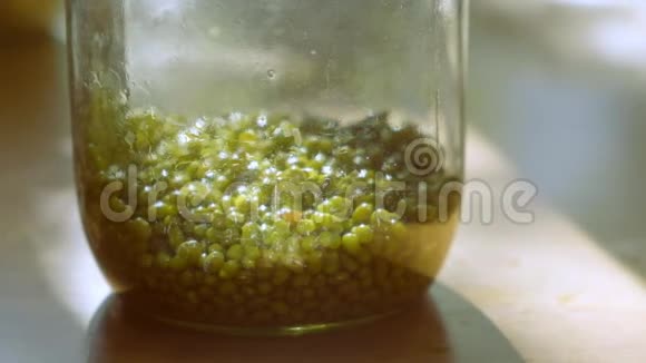 在自然光线下用绿豆或金克特写搅拌玻璃瓶视频的预览图