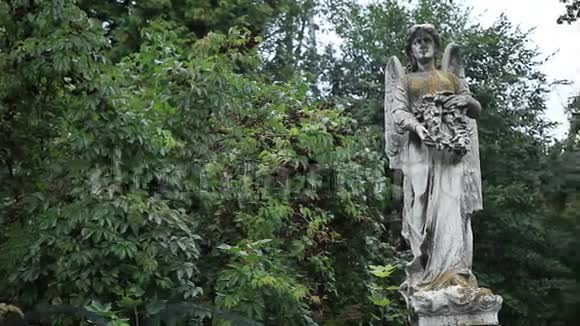 古老墓地上美丽的天使雕像视频的预览图