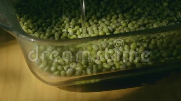 在自然光下倒入装有绿豆或金克特写的玻璃罐中视频的预览图