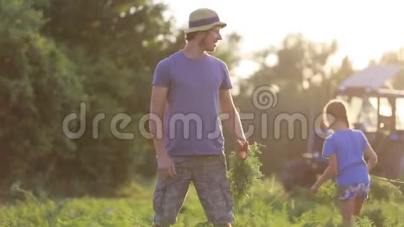 有女儿的农民在生态农场收获有机胡萝卜作物视频的预览图