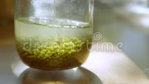 在自然光线下用绿豆或金克特写搅拌玻璃瓶视频的预览图