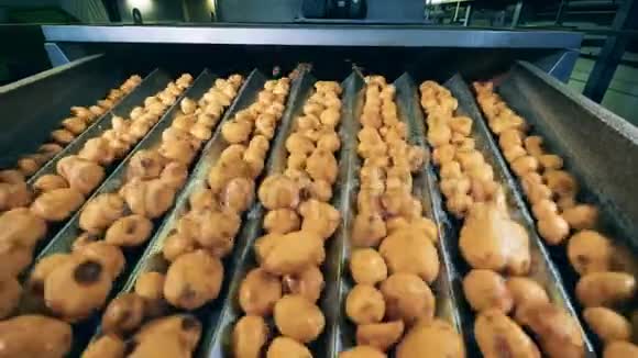 工厂运输公司正在搬迁马铃薯块茎视频的预览图