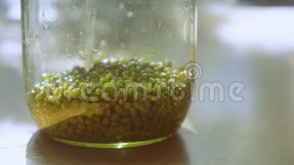 在自然光下倒入装有绿豆或金克特写的玻璃罐中视频的预览图
