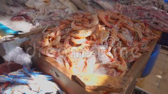 鱿鱼虾和蟹的鲜捕视频的预览图