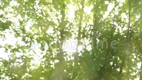 绿色模糊的背景视频的预览图