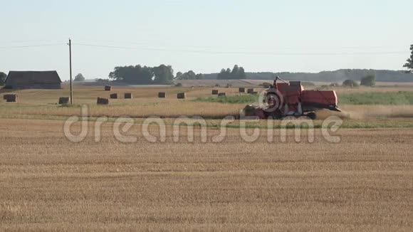 农场在夏季联合收割脱粒小麦粮田全景4K视频的预览图