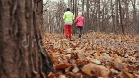 秋天公园的两位老妇人接受了训练北欧步行后景视频的预览图