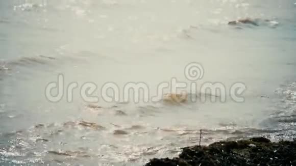海浪汹涌在沙滩上视频的预览图
