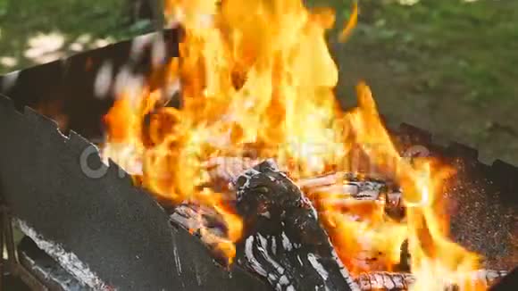 燃烧煤炭慢动作美丽的火焰视频的预览图