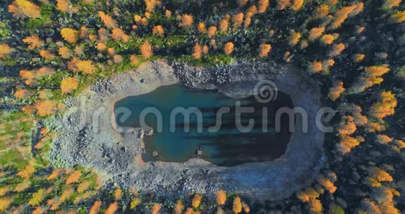 在阳光明媚的秋天在橙色和红色的落叶松森林树林中的湖面上空俯视阿尔卑斯山脉视频的预览图