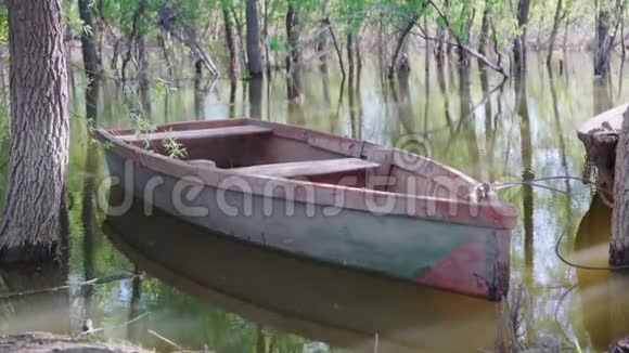 树间湖上的空木船视频的预览图