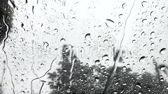 雨中水滴在玻璃上视频的预览图