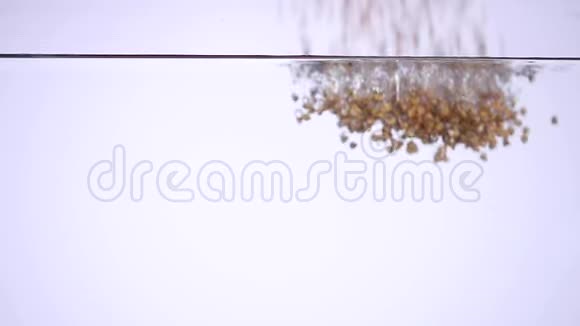 荞麦在白色背景下掉进水里视频的预览图