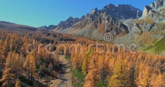 在阳光明媚的秋天带着小溪和落叶松森林的高山山谷上空盘旋欧洲阿尔卑斯山视频的预览图
