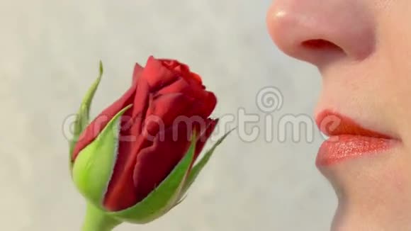 女人闻着一朵红玫瑰视频的预览图