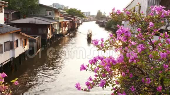 潮水涌入湄南河船日落4k视频的预览图
