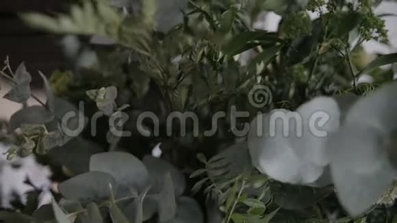 婚礼桌上的绿花装饰视频的预览图