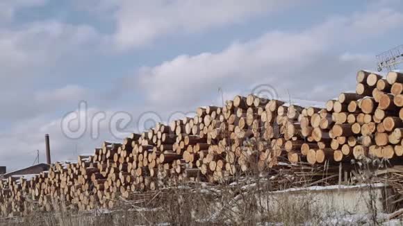 木制品厂外雪中砍倒的一堆原木视频的预览图