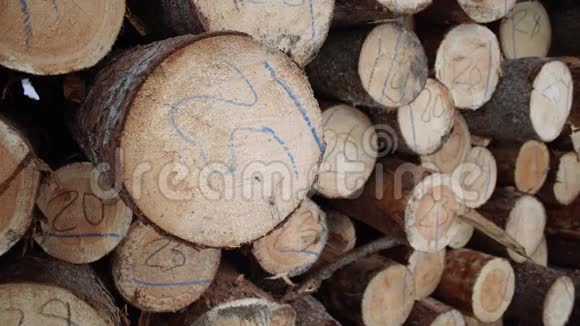 锯木厂用数字标记把木头捆成一团视频的预览图