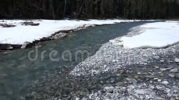 班夫国家公园春季水流湍急视频的预览图
