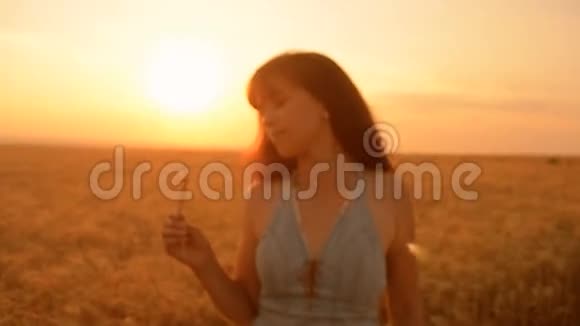 金环在麦穗上的麦穗在姑娘的手中浪漫地走在乡间近前视频的预览图