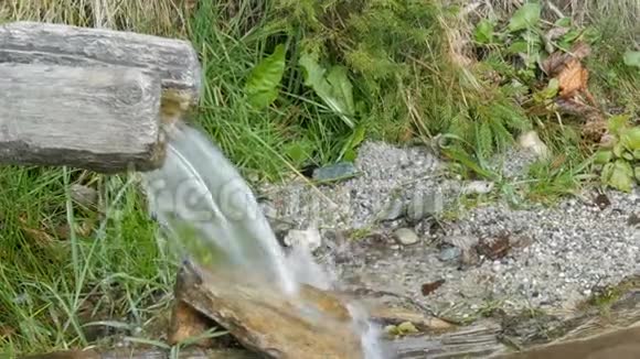 森林中河流的特写流水的细节纯净的山溪清澈的水流穿过绿色的区域视频的预览图