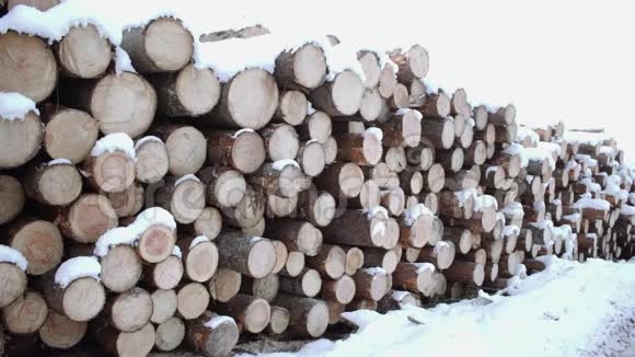 冬日积雪覆盖的一堆木材的全景视频的预览图