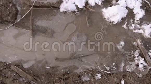 穿靴子的人的脚在泥泞的水坑上打破冰视频的预览图