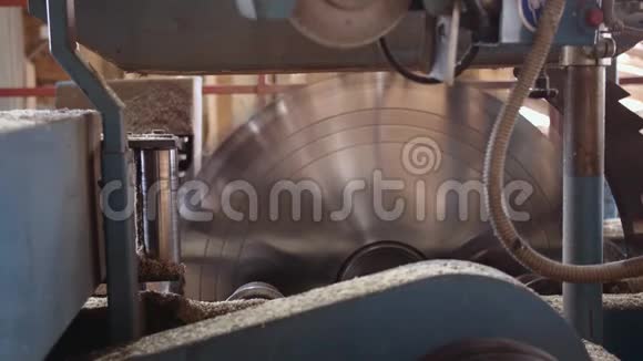 在木工机械上运行工业大圆形锯视频的预览图