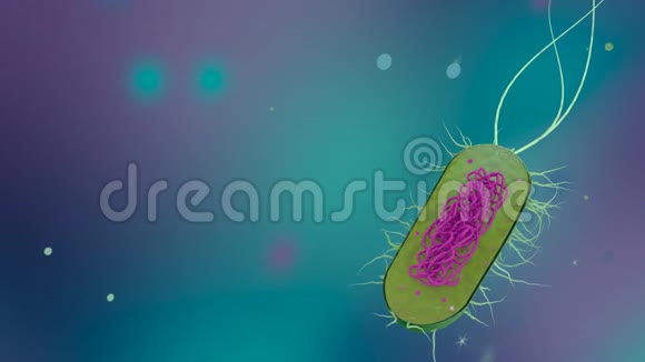 原核生物动画3D渲染视频的预览图