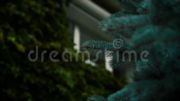 红砖乡村的房子有老式的柱子和蓝色的云杉在花园里视频的预览图