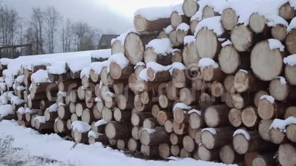 冬日雪堆圆木的全景视频的预览图