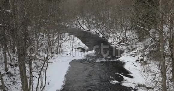 下午冬天森林里的河流视频的预览图