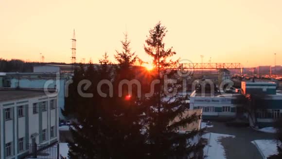 俄罗斯铁路火车站日落冷杉树枝上的阳光雪视频的预览图