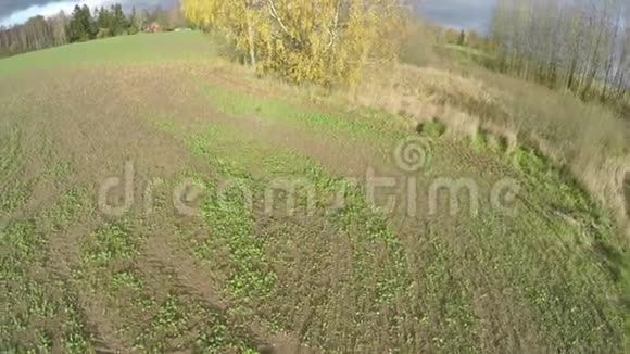 去年11月秋天有树木和农作物的农田里有一架无人机飞过视频的预览图