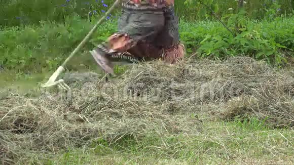 穿裙子的年轻漂亮女人在矢车菊附近耙干草干草4K视频的预览图