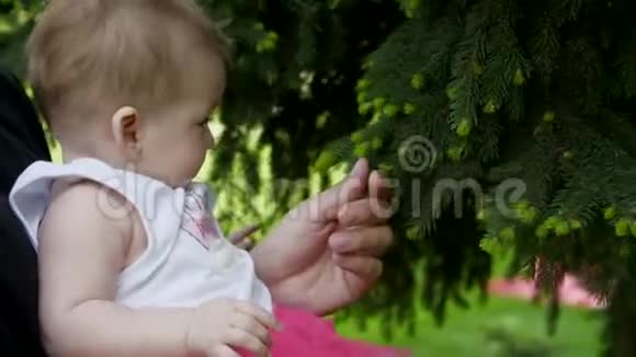 爸爸把一个女儿抱在怀里女儿伸手去抓树视频的预览图