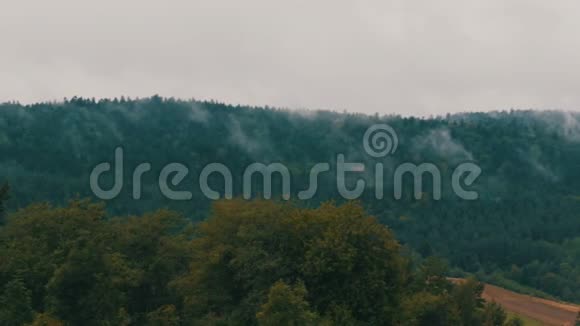 波兰喀尔巴阡山脉被雾气覆盖视频的预览图