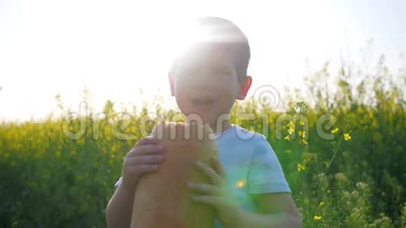 男孩在户外公园吃面包饥饿的快乐的孩子在背光的草地上吃食物年轻人带着面包进来视频的预览图
