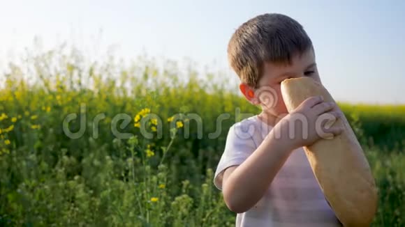 饥饿的孩子在背光的草地上吃食物年轻的孩子手里拿着面包在地上吃小男孩在吃视频的预览图